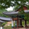 正祖(チョンジョ)は貞純(チョンスン)王后を処罰しなかった/朝鮮王朝歴史全集15