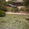 茶母／朝鮮王朝百科６