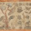 甦る三国時代・高麗５／善徳女王の生涯（前編）